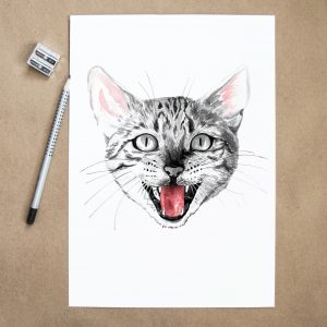 Lisa Mona – Portrait Katze