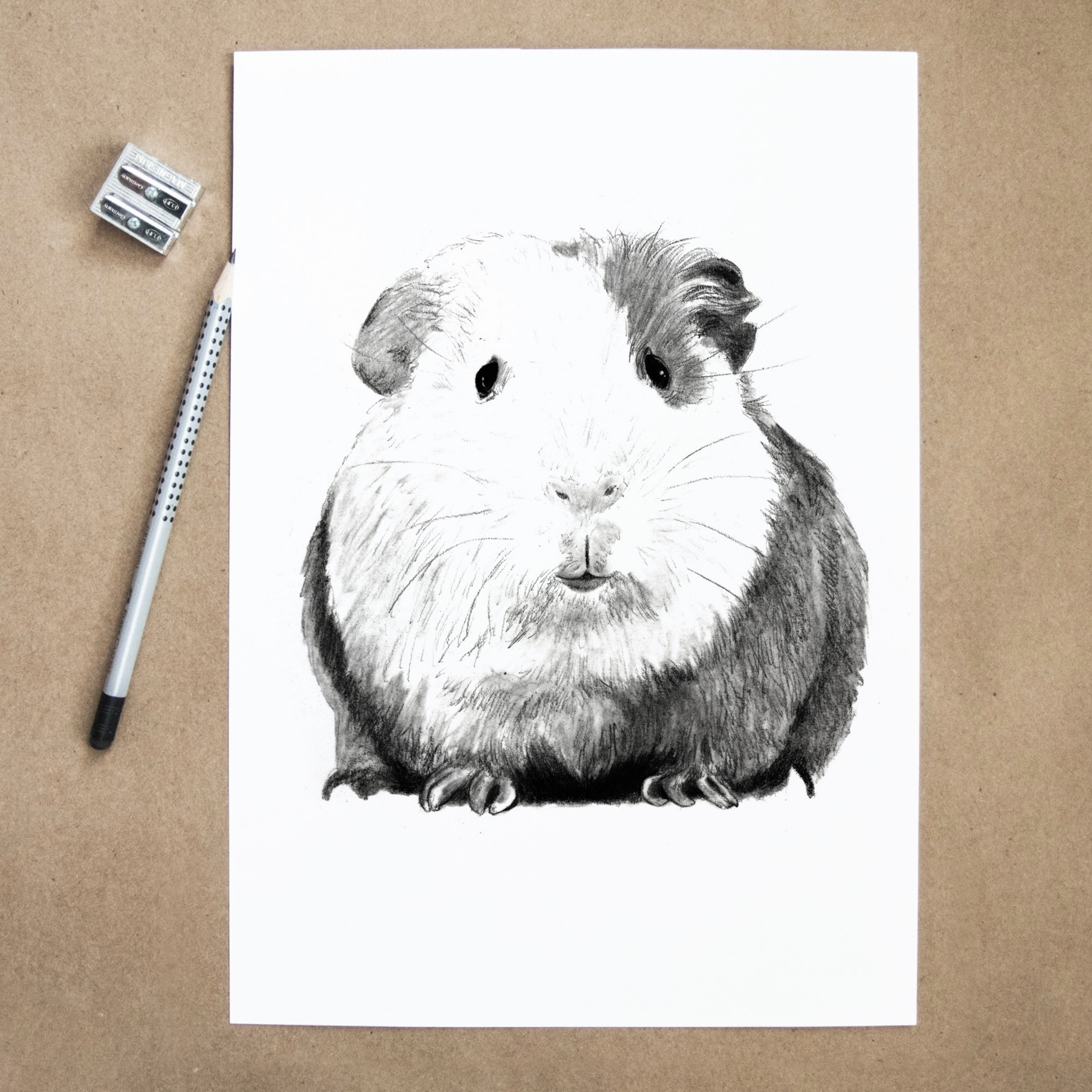 Lisa Mona – Meerschweinchen Portrait Zeichnung Bleistift