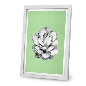 Lisa Mona – Kunstdruck Alpinia 1