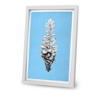 Lisa Mona – Kunstdruck Alpinia Purpurata