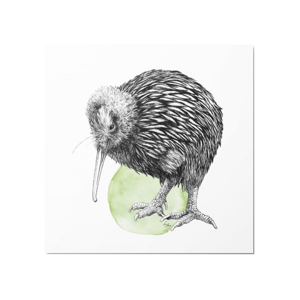 Kunstdruck 21x21 cm Kiwi