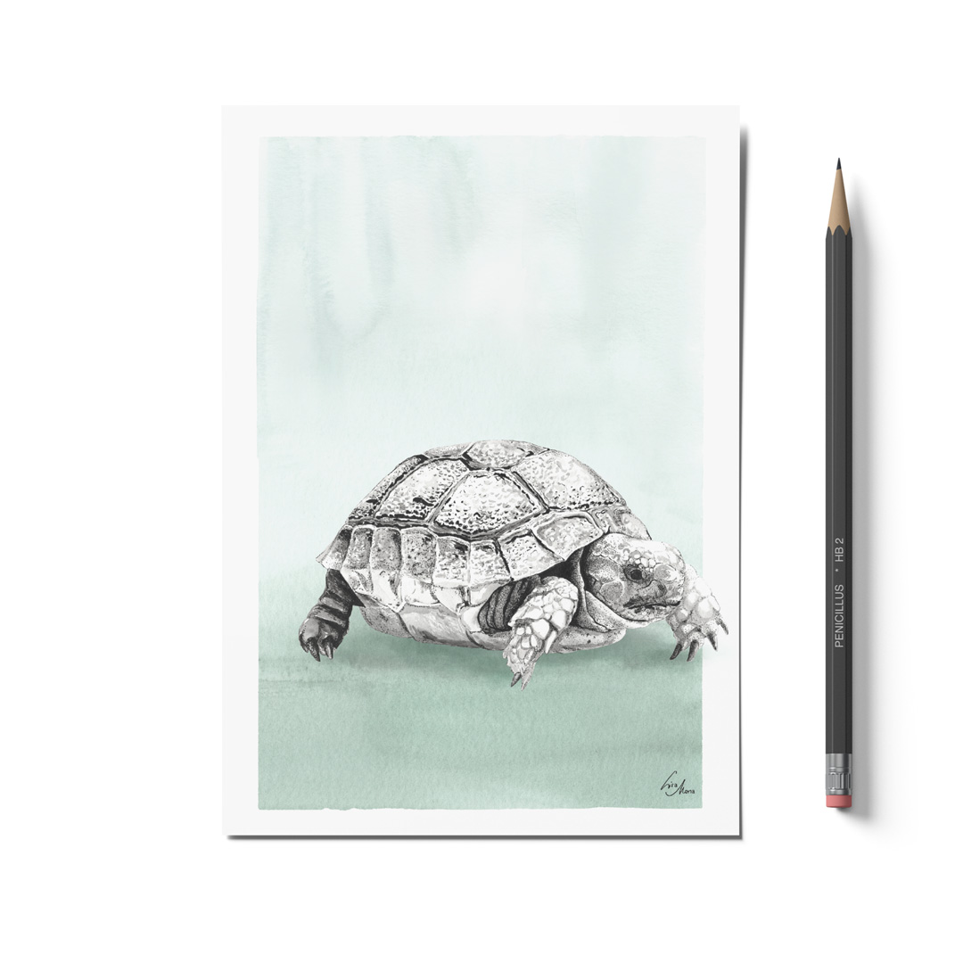 Kunstdruck DIN A5 Schildkröte