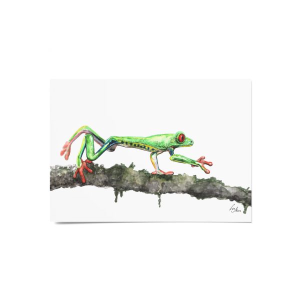 Kunstdruck DIN A6 Frosch